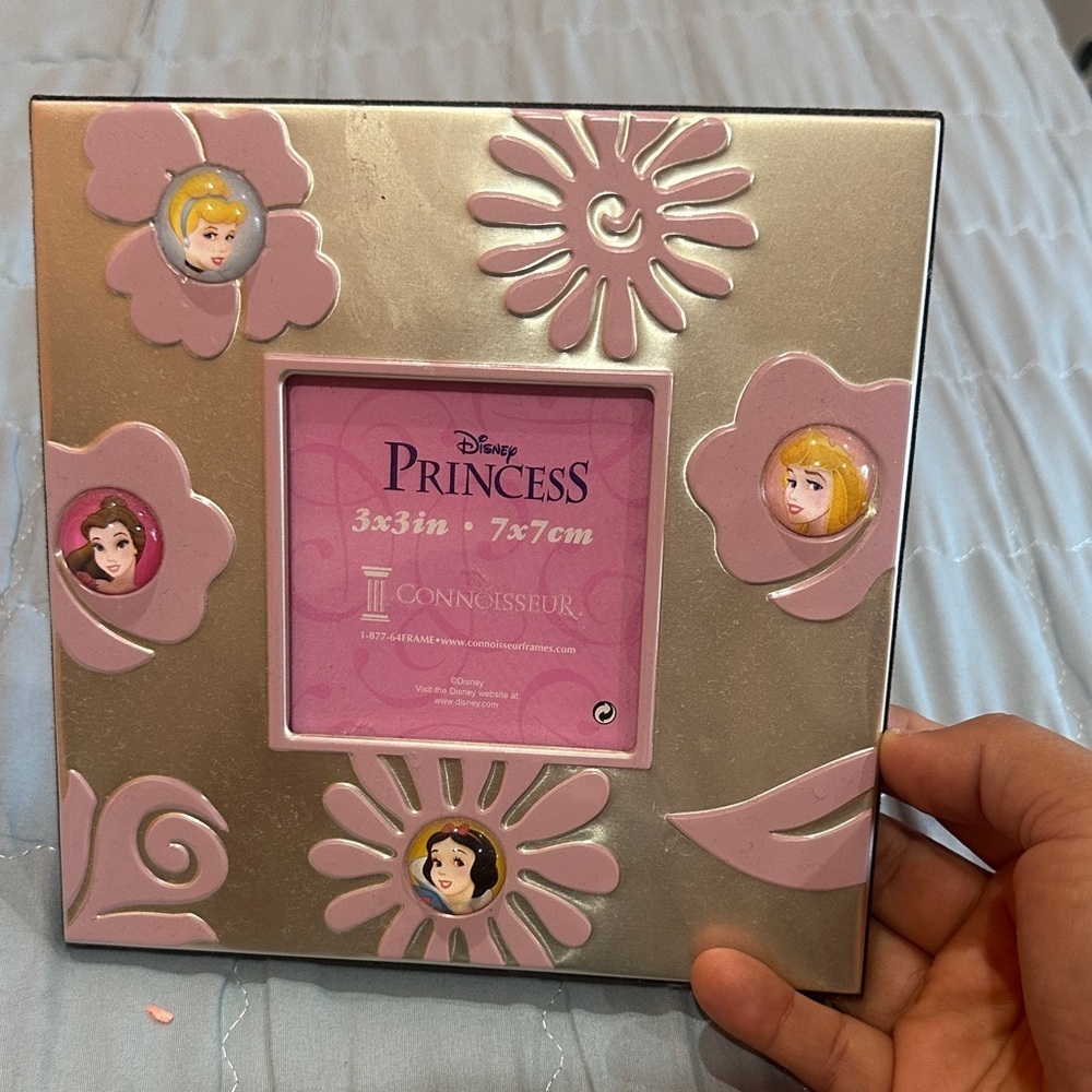 NEW Disney Princess Silver and Pink Floral Frame
